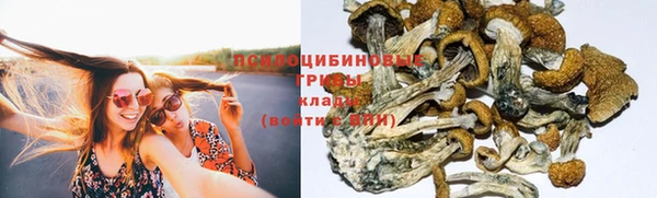 амф Видное