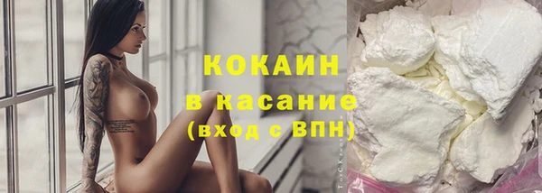 круглые Гусев