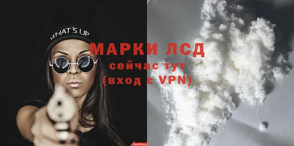 PSILOCYBIN Гусиноозёрск
