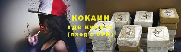 винт Ветлуга