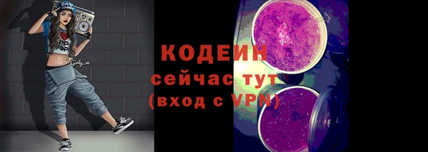 круглые Гусев