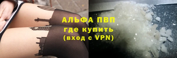 круглые Гусев