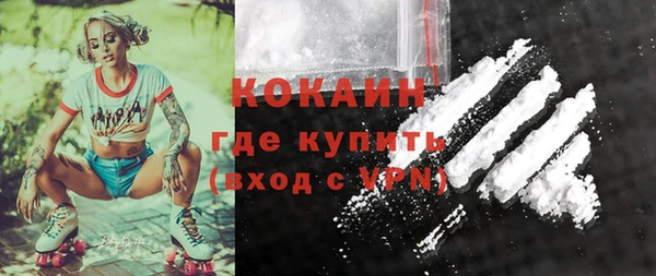 круглые Гусев