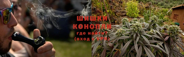 PSILOCYBIN Гусиноозёрск