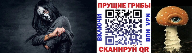 Галлюциногенные грибы Psilocybine cubensis  продажа наркотиков  Елизово 